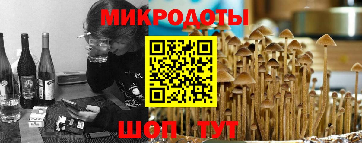 Галлюциногенные грибы Psilocybe  Вход с VPN  Сунжа 